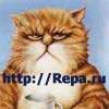 039180-1.jpg