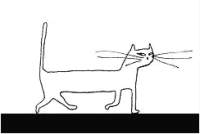 cat1.gif