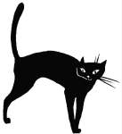 cat4.gif