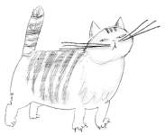 cat6.gif