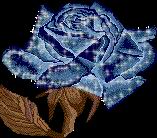 2004031908294166976.gif
