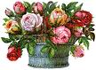 Pivoine.gif