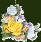 RoseSample2.gif