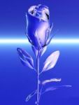 bluerose.jpg