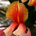 f_155674.jpg