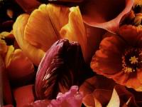 flowers99.jpg