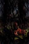 forest13x.jpg