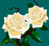 image002.gif