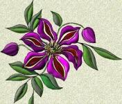 purplyflower.jpg